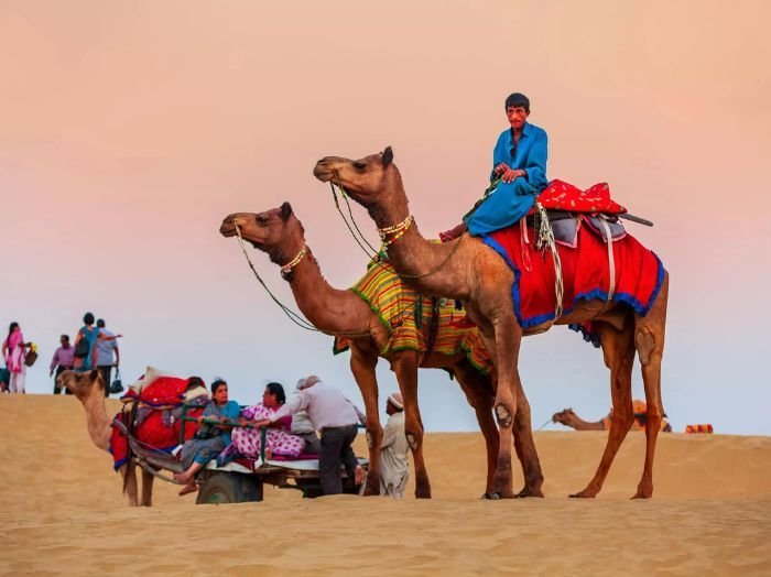 Rajasthan Sightseeing Tour